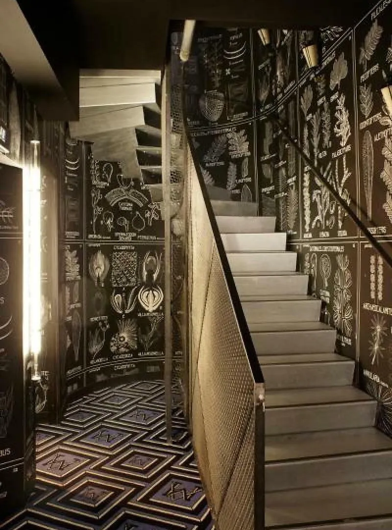 The Place To Be In Saint Germain Des Pres - Montana 2 2* Paris